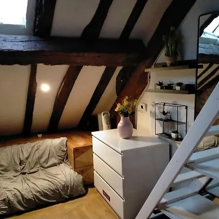 Apartment Studio Duplex Au Coeur De *
